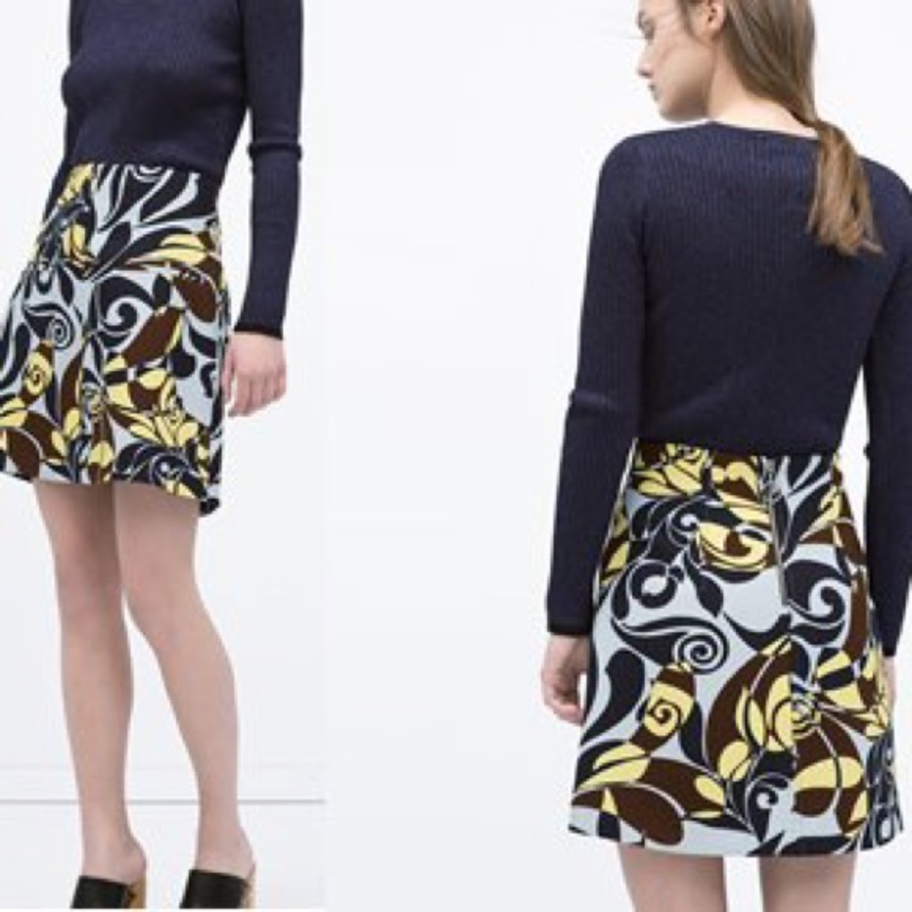 Zara skirt, size S.